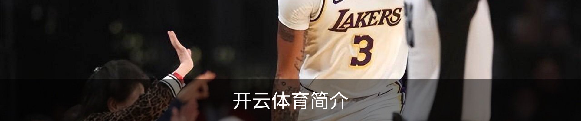 开云体育简介