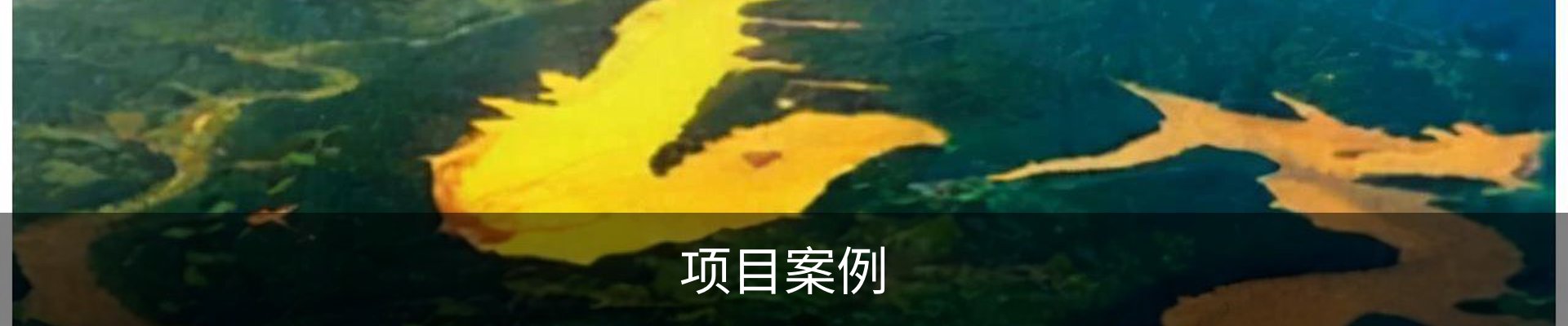 项目案例